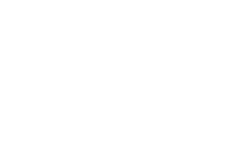 NXT LOGO R WHITE