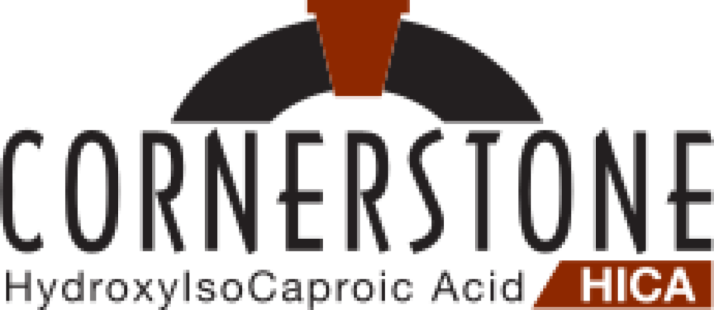 Cornerstone Logo
