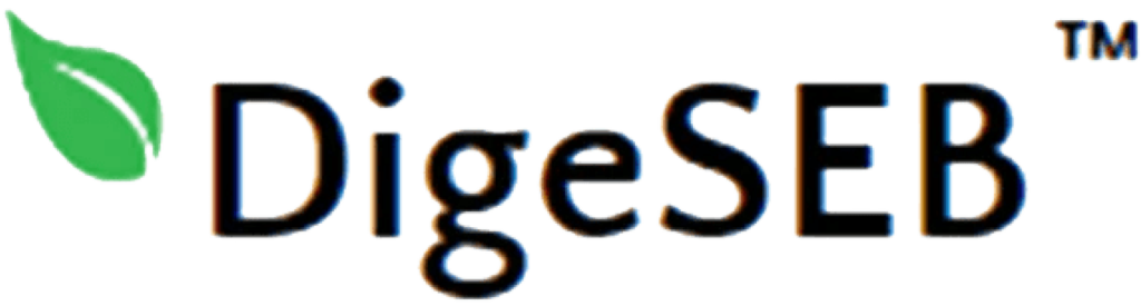 DigeSeb Logo