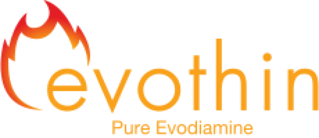 Evothin Logo