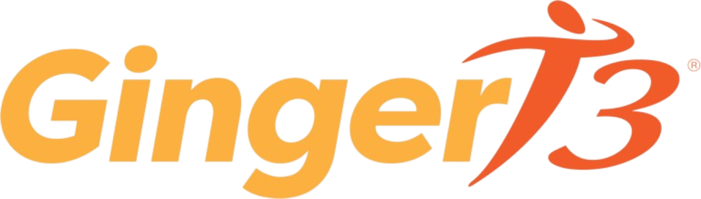 GingerT3 Logo