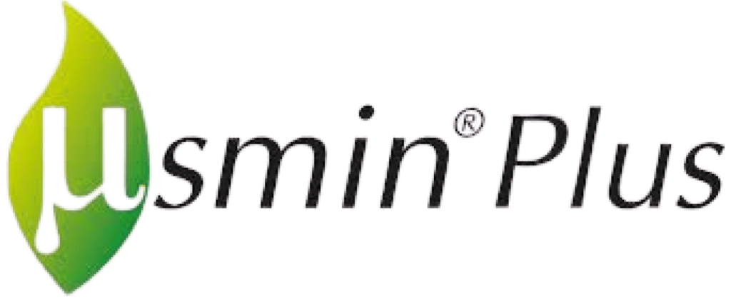 Microsmin Logo