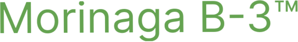 Morinaga B 3 Logo