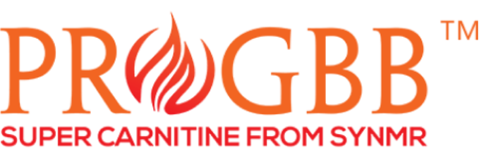 ProGBB Logo