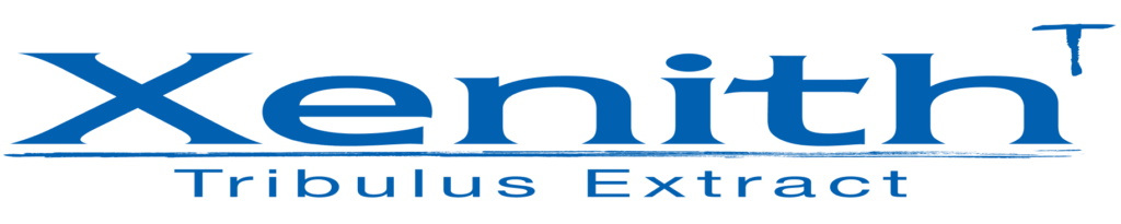 Xenith T Logo