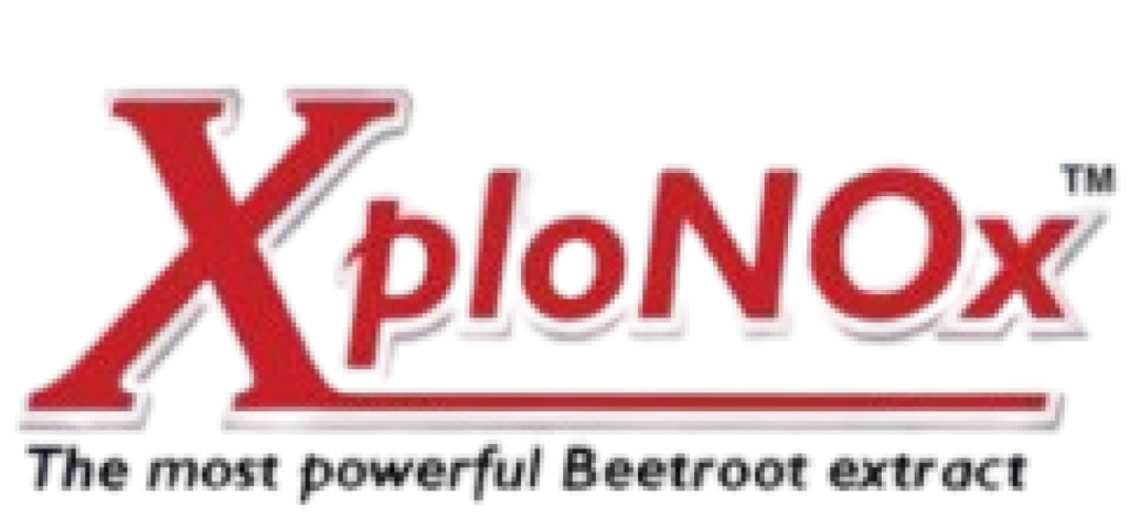 Xplonox Logo