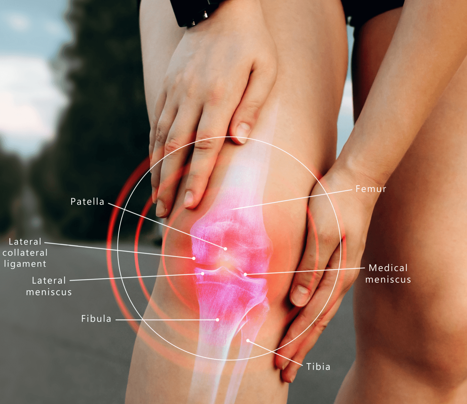 Joint Health Main Image 4