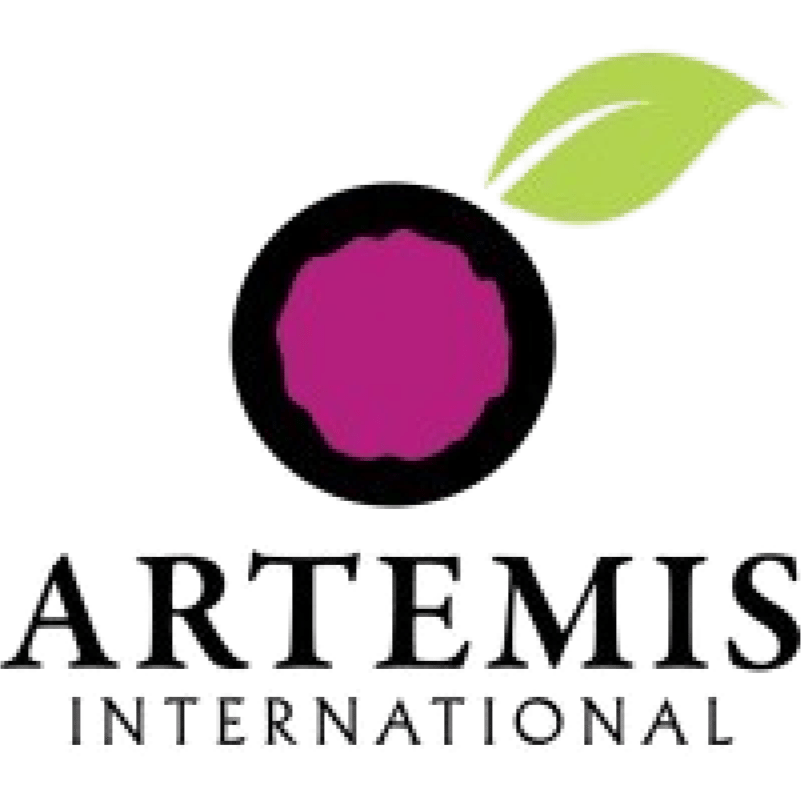 Artemis International Logo