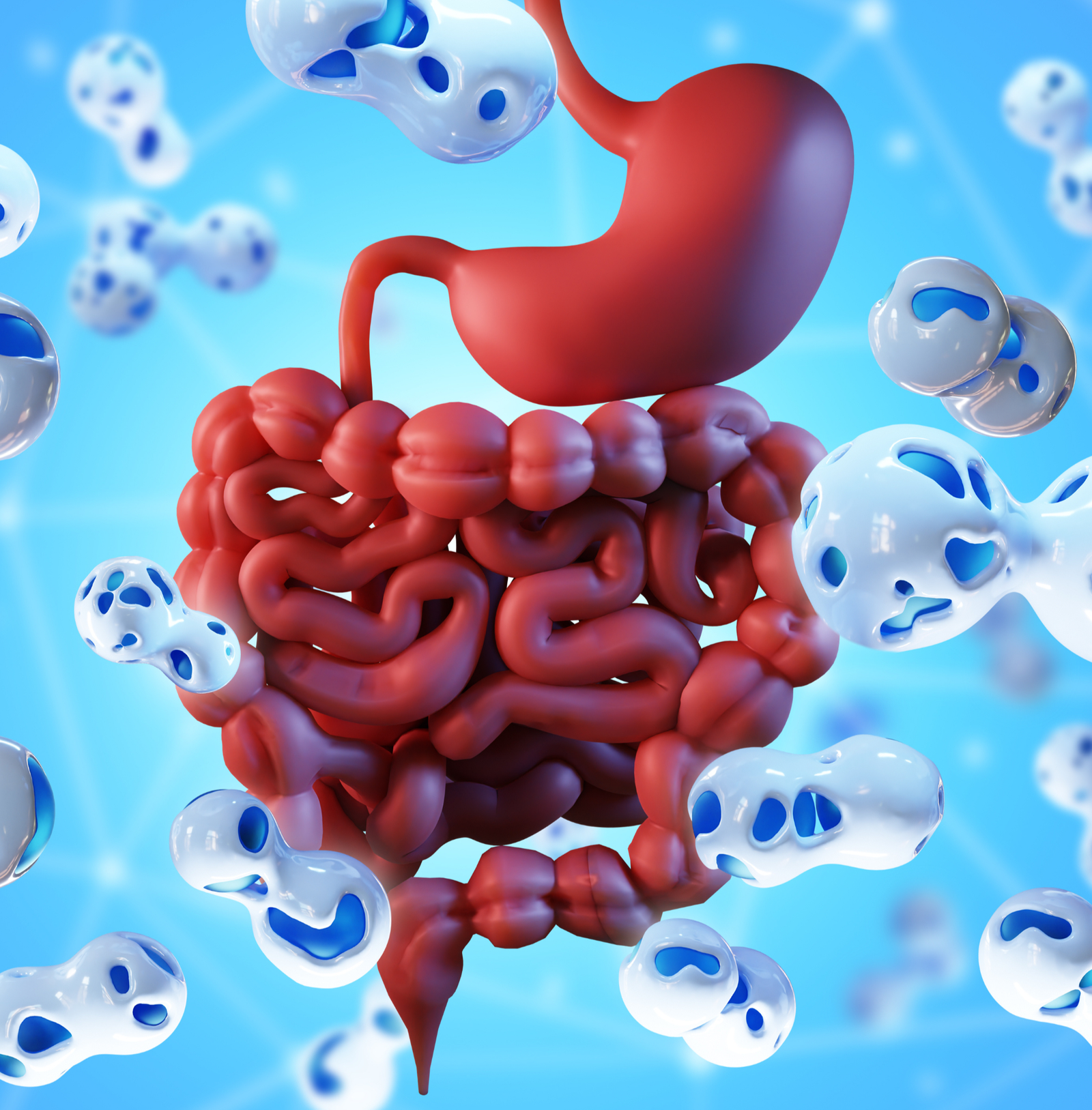 Digestive Health Main Image Left 2