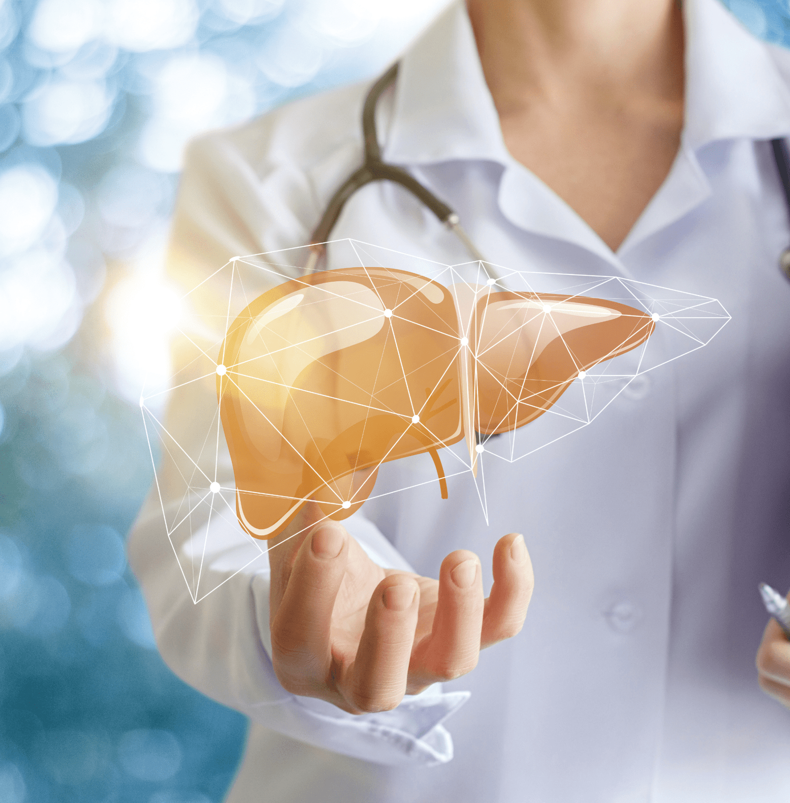 Liver Health Main Image Left