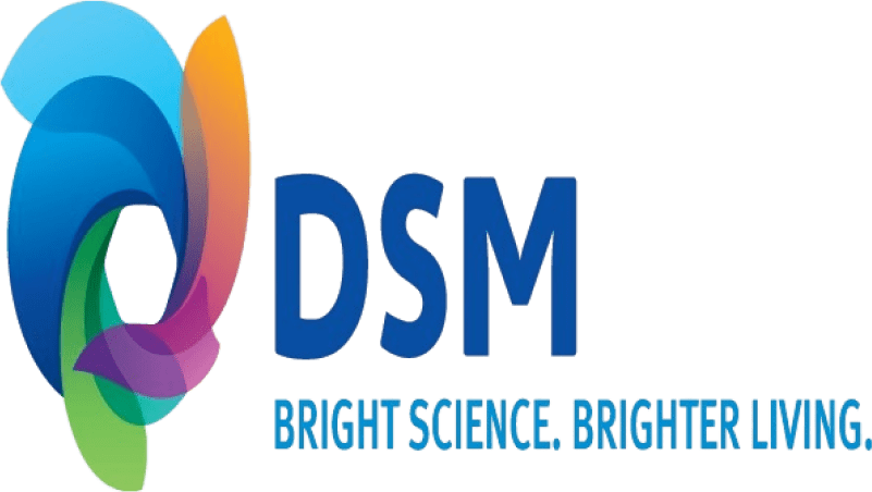 Dsm Logo Min