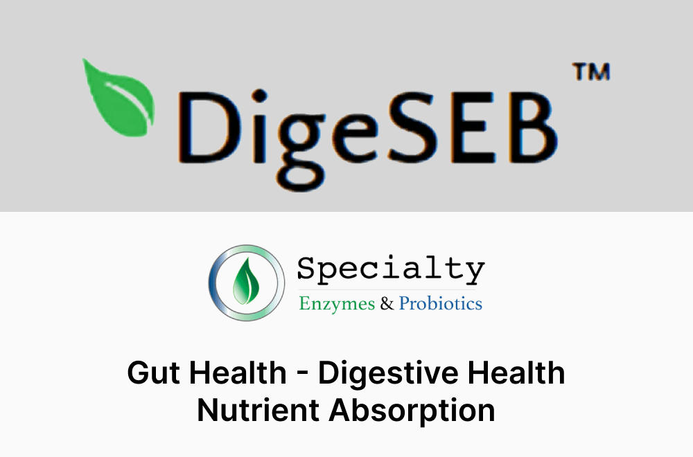 DigeSEB® by Specialty Enzymes & Probiotics™ Thumbnail