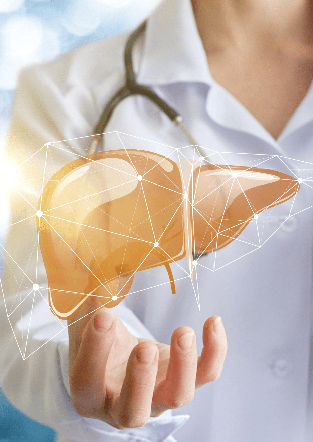 Liver Health Main Image Left Updated version
