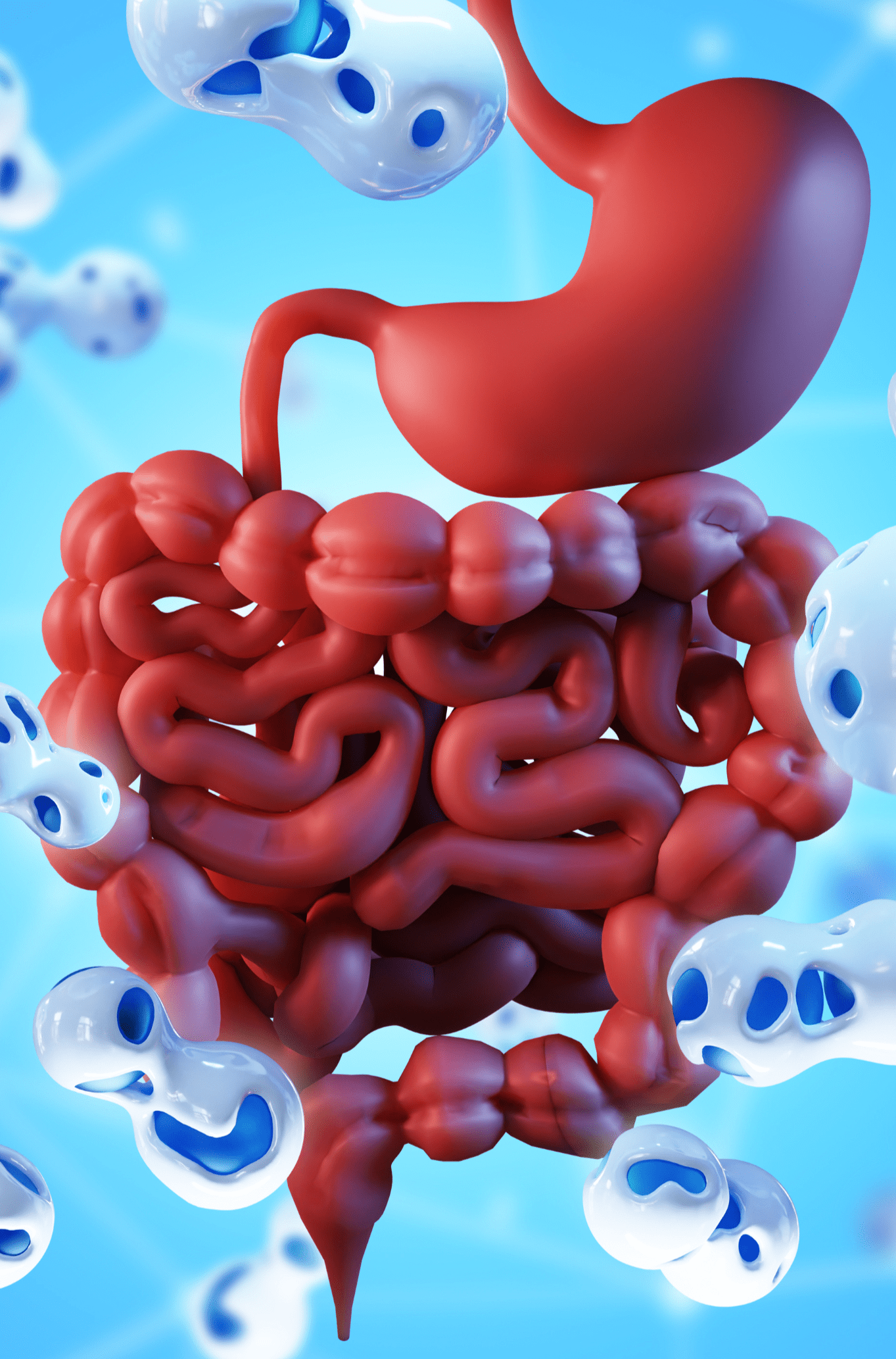 Digestive Health Updated Version main Image Left