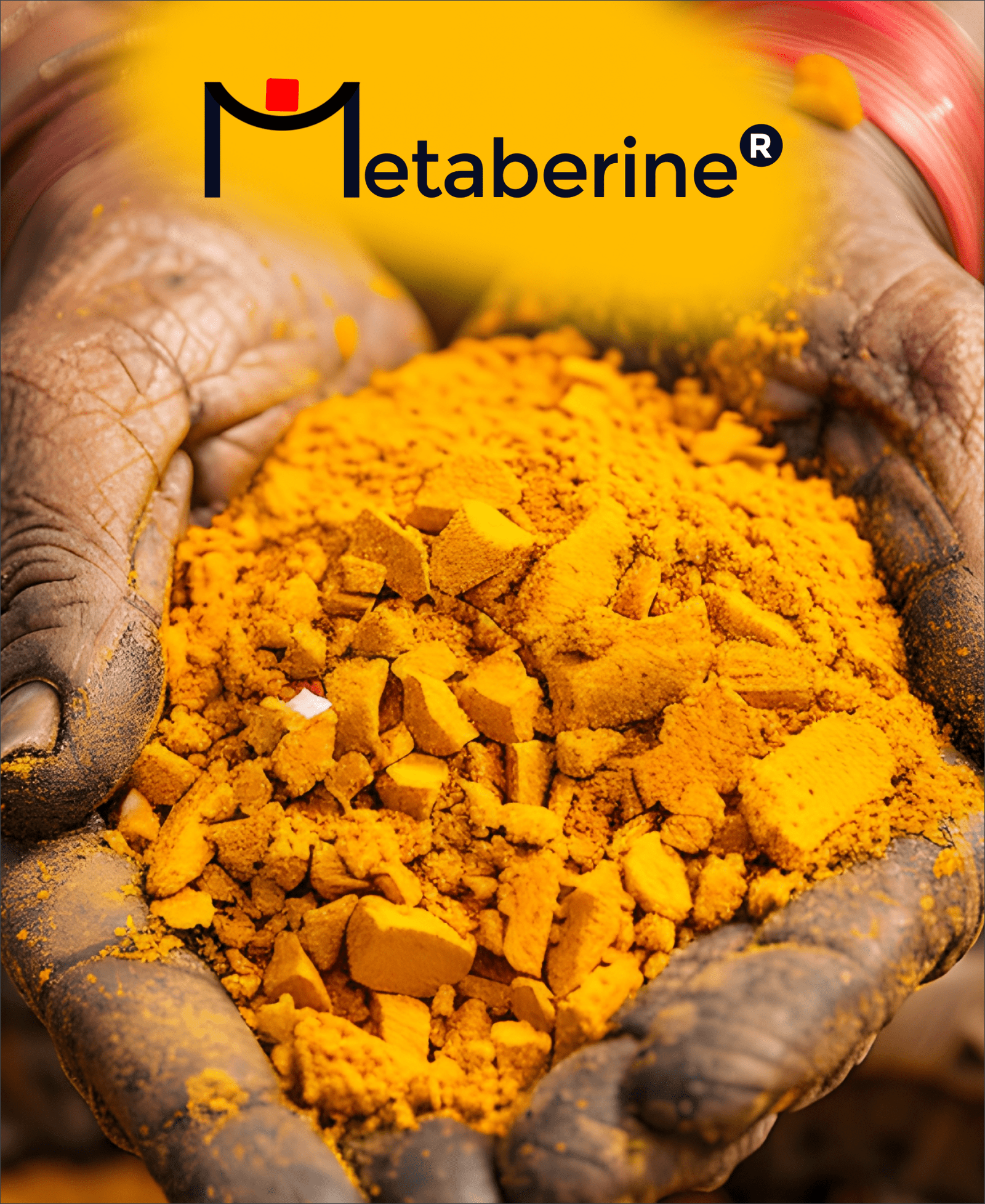 Metaberine Main Image