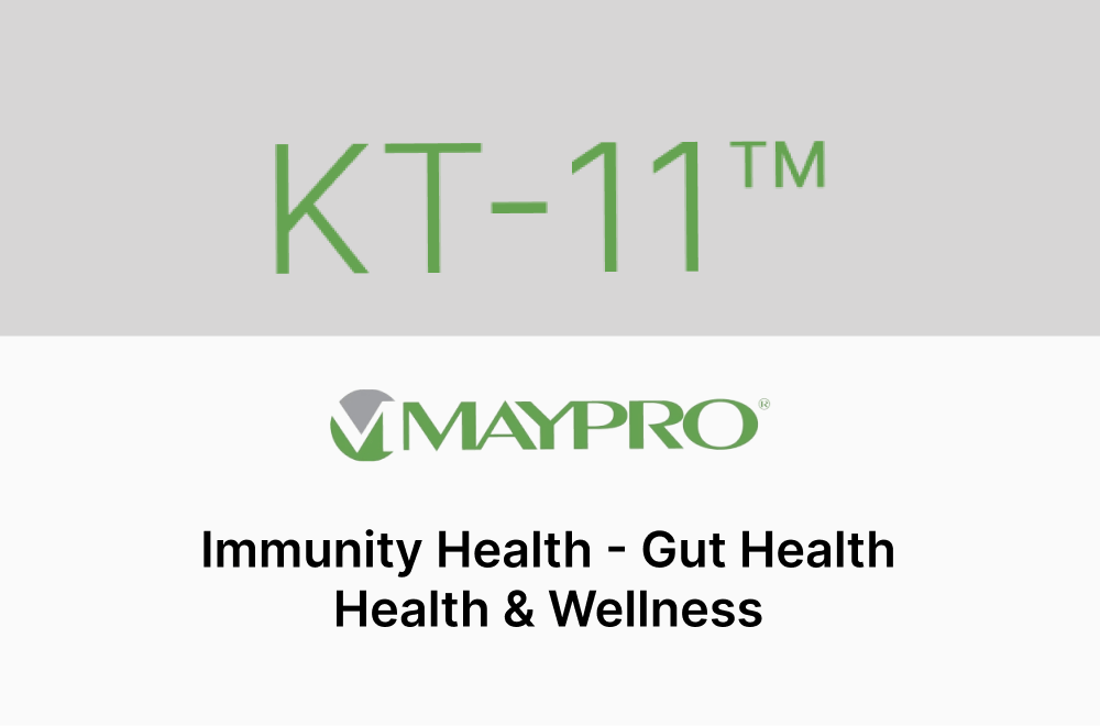 KT 11 by MayPro Thumbnail