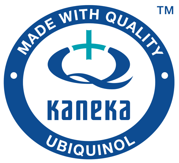 Kaneka Logo Min