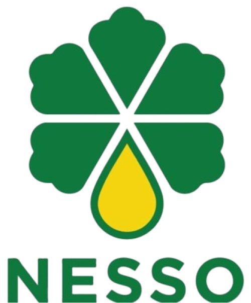 Nesso Logo
