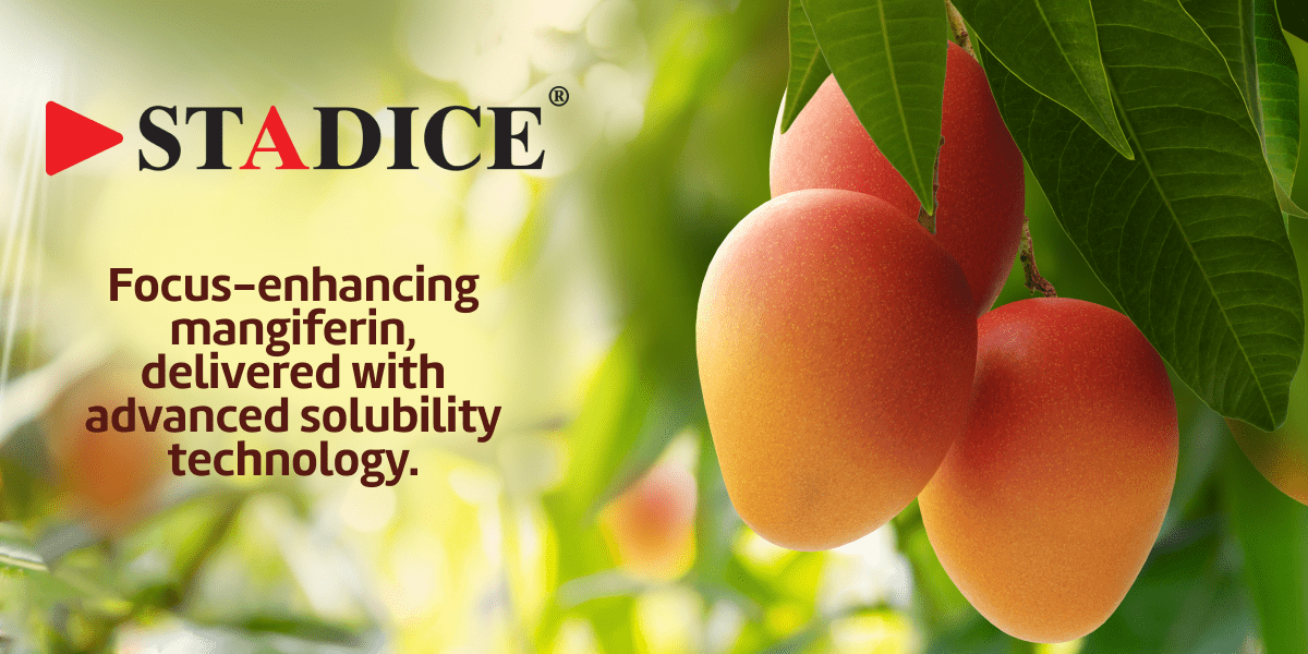 Stadice® mango leaf derived focus support with brain bioavailable mangiferin min