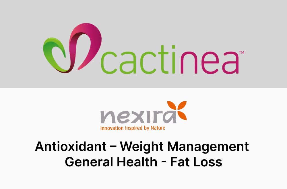 Cactinea™ by nexira thumbnail min
