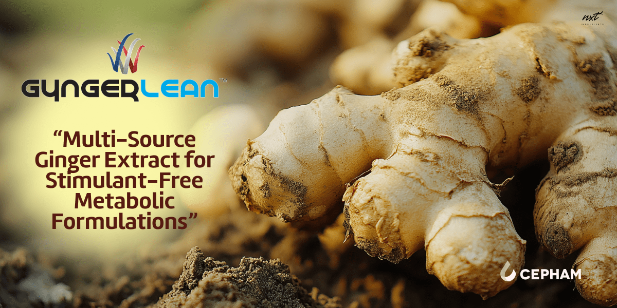 Technical spotlight gyngerlean™ — a multi source ginger extract for metabolic formulations min