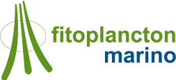Tetrasod® By Fitoplancton Marino