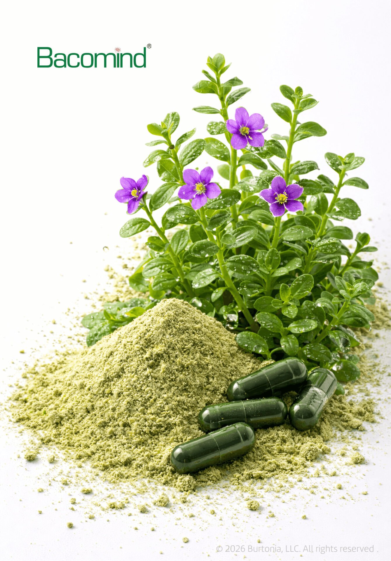 Bacomind® By Natural Remedies