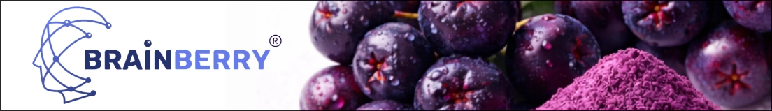 Brainberry