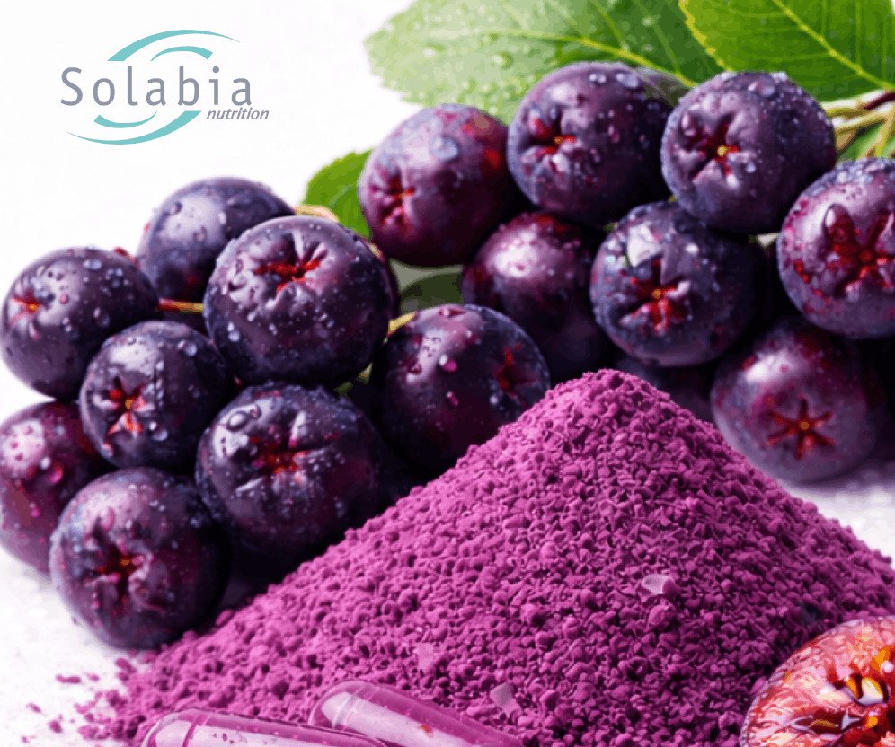 Brainberry® By Solabia Nutrition