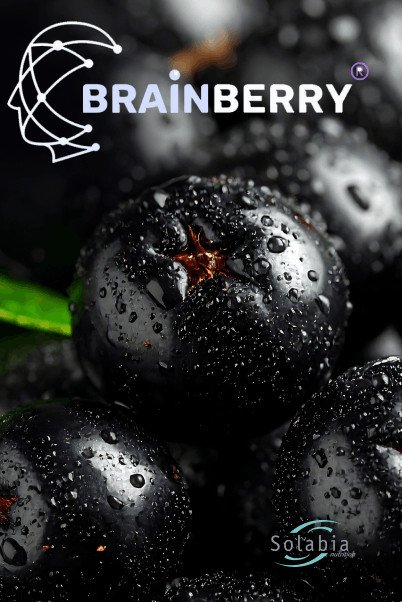 Brainberry® By Solabia Nutrition: A Low Dose, Stimulant Free Aronia Extract For Cognitive And Brain Performance Formulations