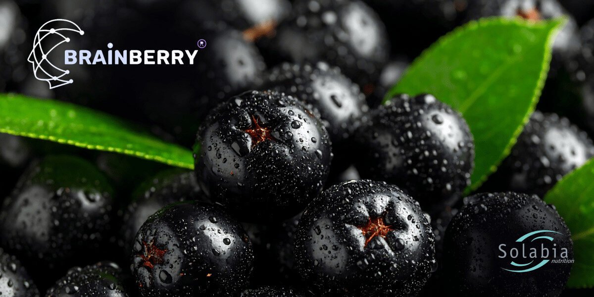 Brainberry® By Solabia Nutrition: A Low Dose, Stimulant Free Aronia Extract For Cognitive And Brain Performance Formulations