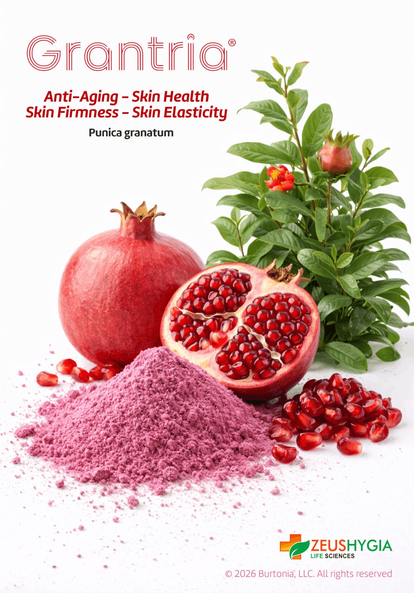 Grantria® By Zeus Hygia