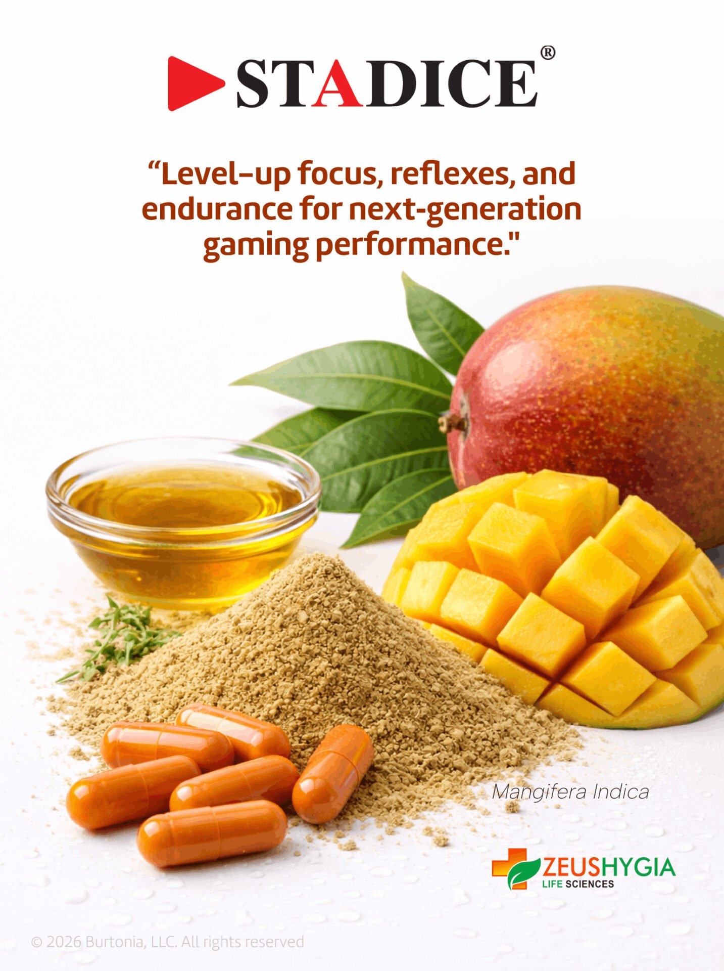 Stadice® By Zeus Hygia