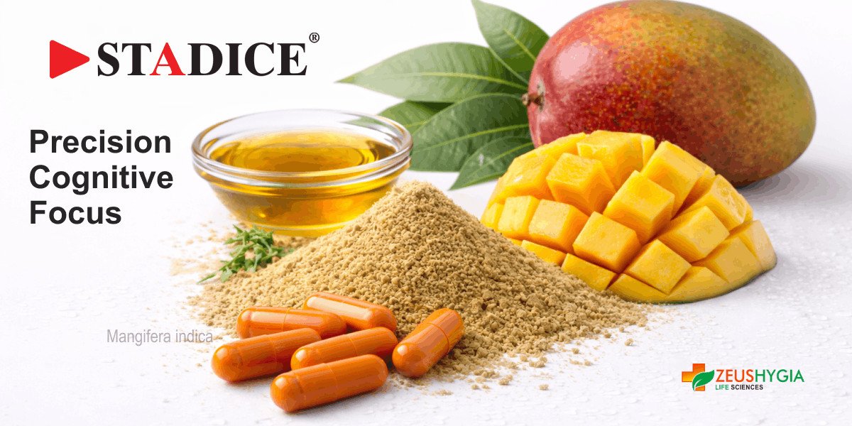 Stadice®: Precision Cognition For Gaming, Performance, And Next Gen Pre Workout Formulas