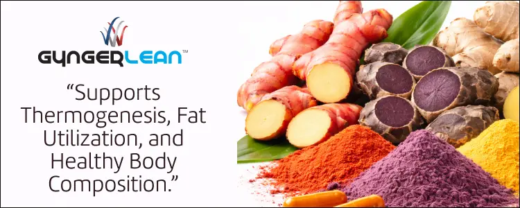 Gyngerlean Banner Top Mobilespisar Banners