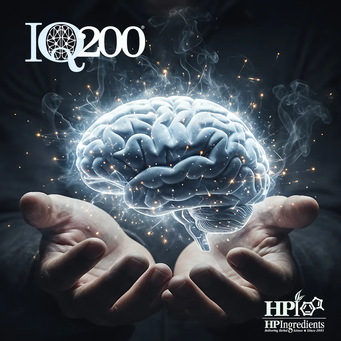 IQ200