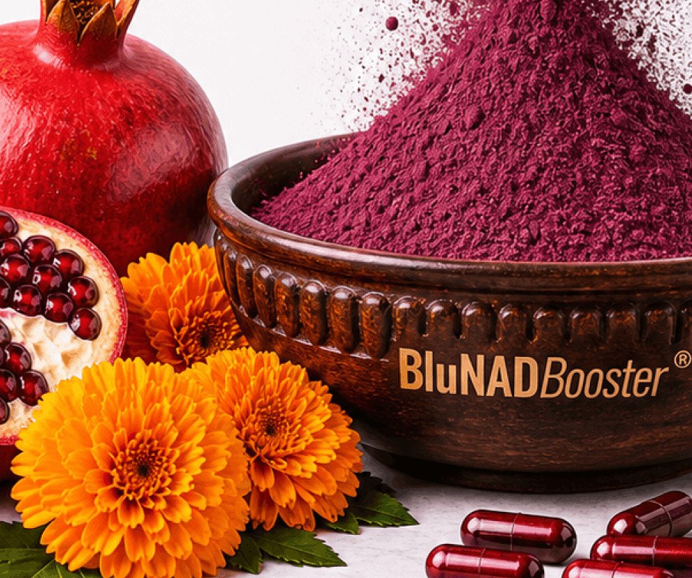 Blunadbooster® By Nxt Usa