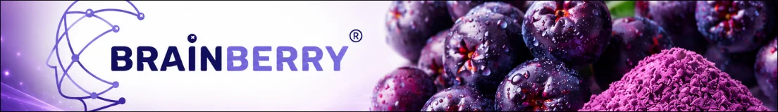 Brainberry Banner Top Desktop Aispisar Banners