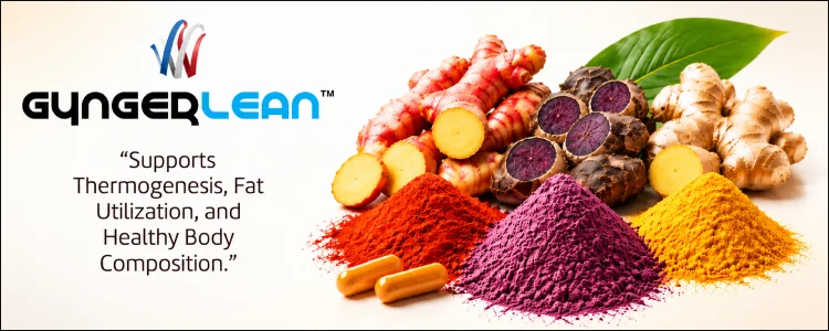 Gyngerlean Banner Top Mobile Aispisar Banners