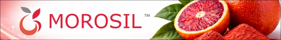 Morosil Banner Top Desktop Aispisar Banners