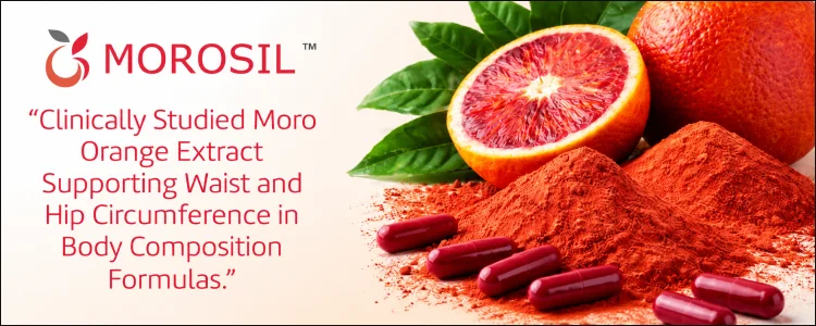 Morosil Banner Top Mobile Aispisar Banners