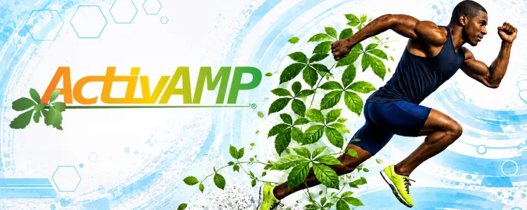 Activamp Banner Top Mobile Aispisar Banners