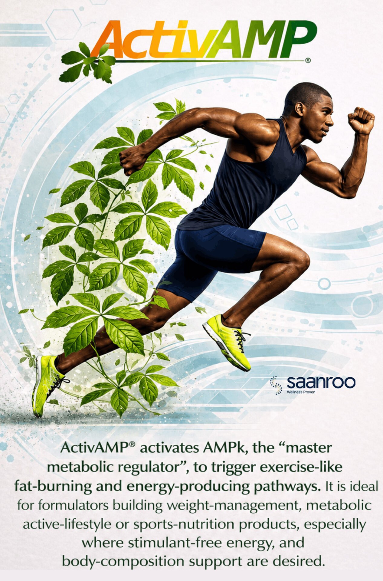 Activamp® By Saanroo