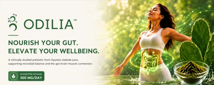 Odilia Banner Top Mobile Aispisar Banners