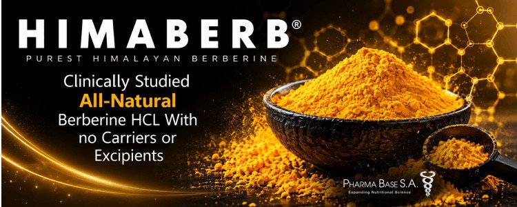 Himaberb Banner Top Mobile Aispisar Banners
